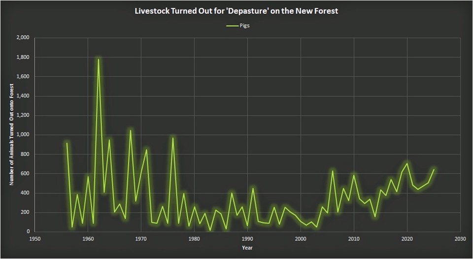 A graph illustrating the fluctuation in the number of pigs turned out for pannage on the New Forest.