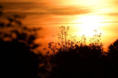 August sunrise