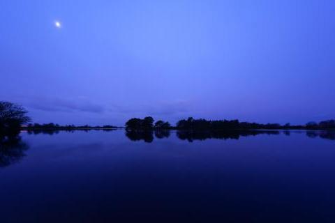 Dawn over New Forest pond