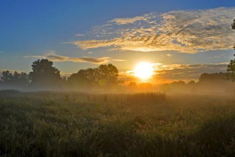 Misty summer dawn