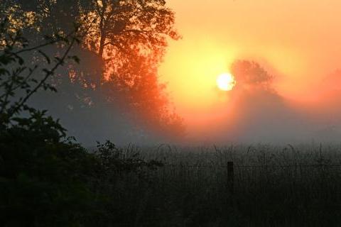 Hampshire sunrise in June