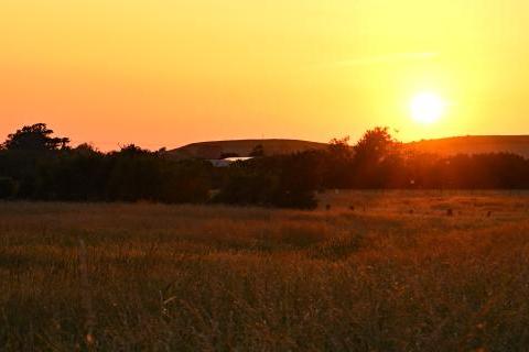 Sunset over farmland