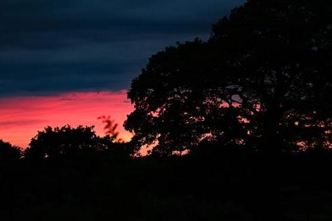 May sunset over Knepp