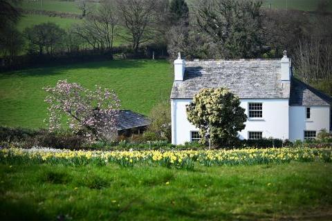 Mid-spring in Cornwall
