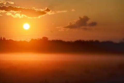 Misty dawn over the marshes