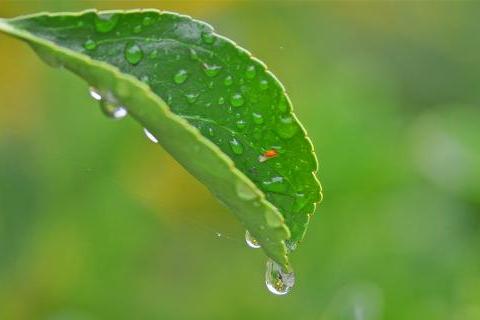 October rain