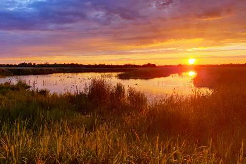 Strumpshaw sunset