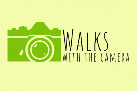 Walks with the Camera logo