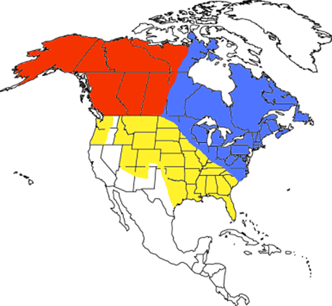 Are North American And European Red Foxes Different Species Wildlife